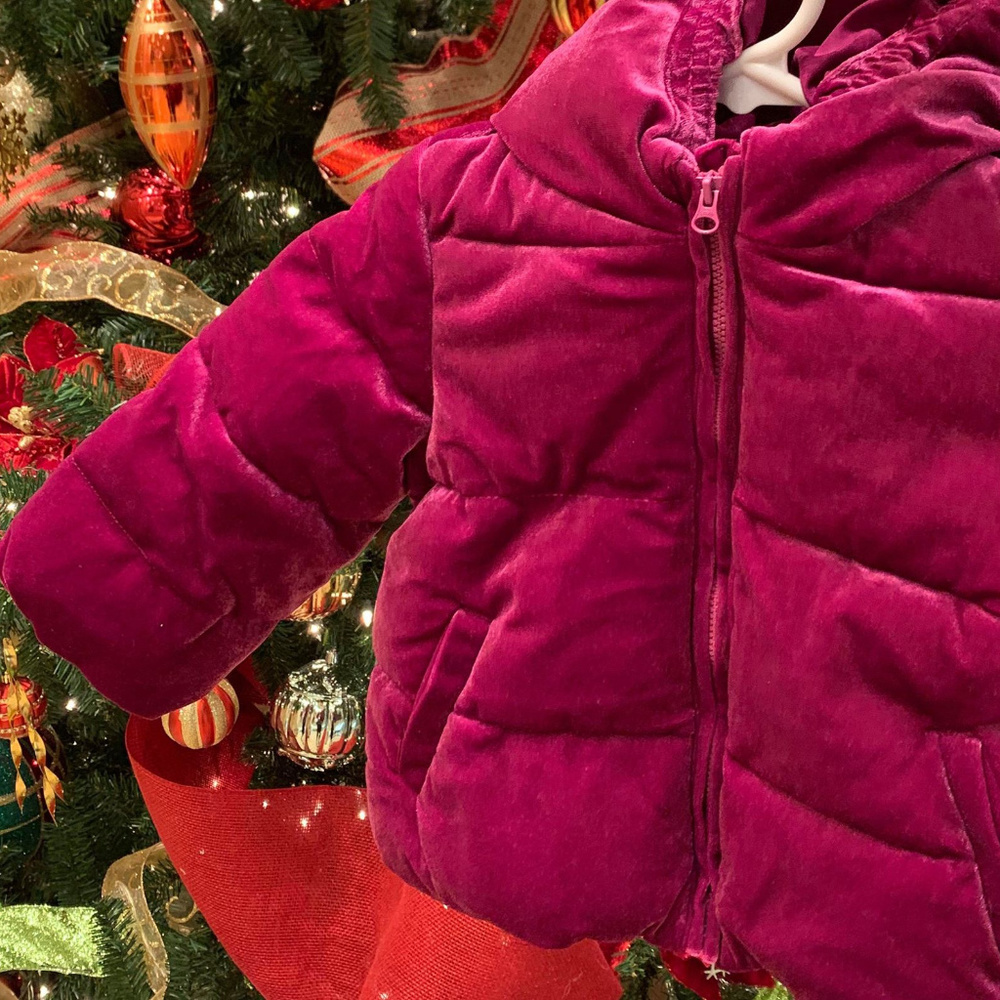 NWT Gymboree Toddler Puffy Velvet Jacket 2T